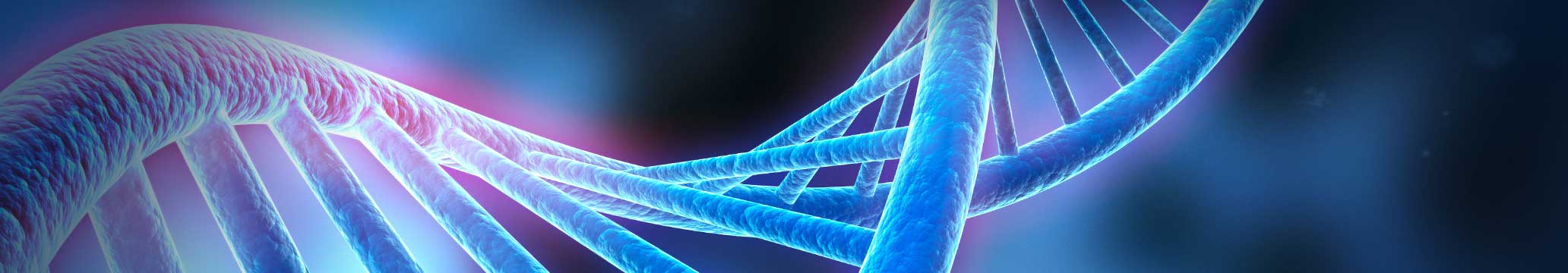 
DNA strand