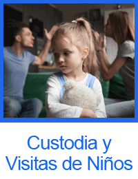 Custodia y Visitas de Niños