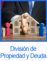 División de Propiedad y Deuda