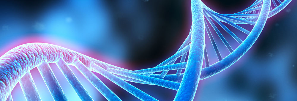 DNA strand