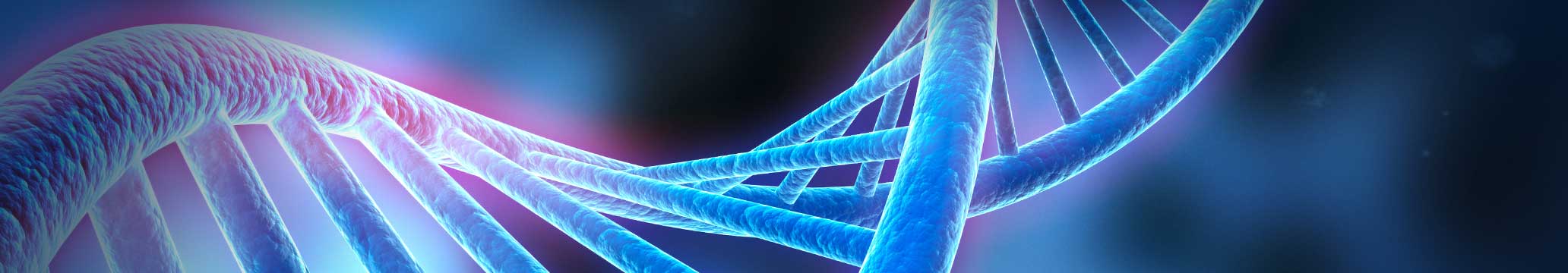 DNA strand